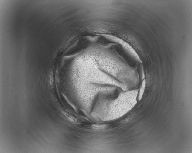 X0000074260457200609222155