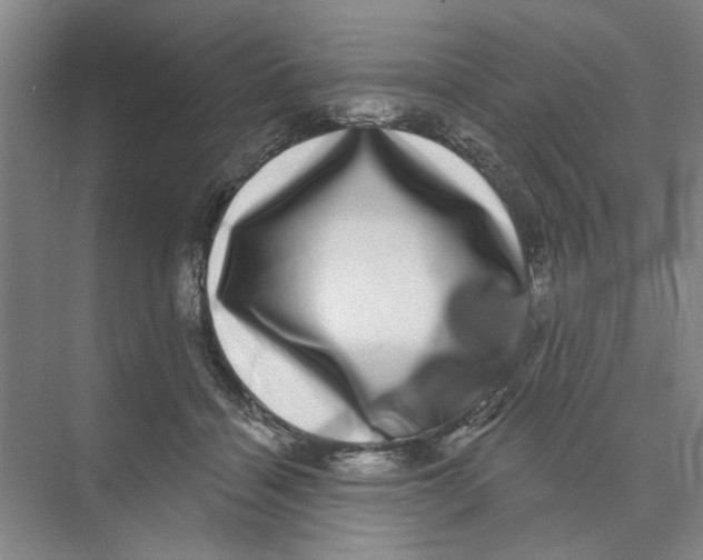 X0000074260460200609222155