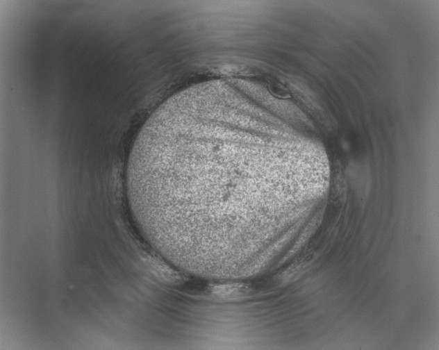 X0000074260461200609222155