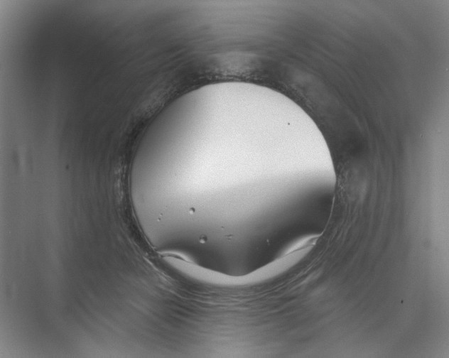 X0000074260462200609222155