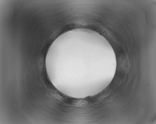 X0000074260463200609222155