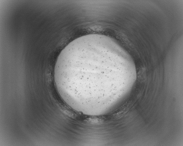 X0000074260464200609222155