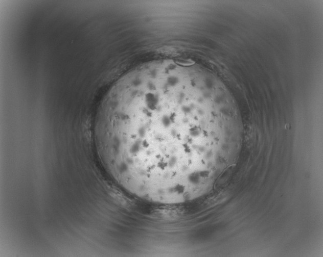 X0000074260466200609222155