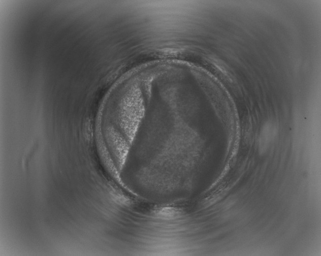 X0000074260467200609222155