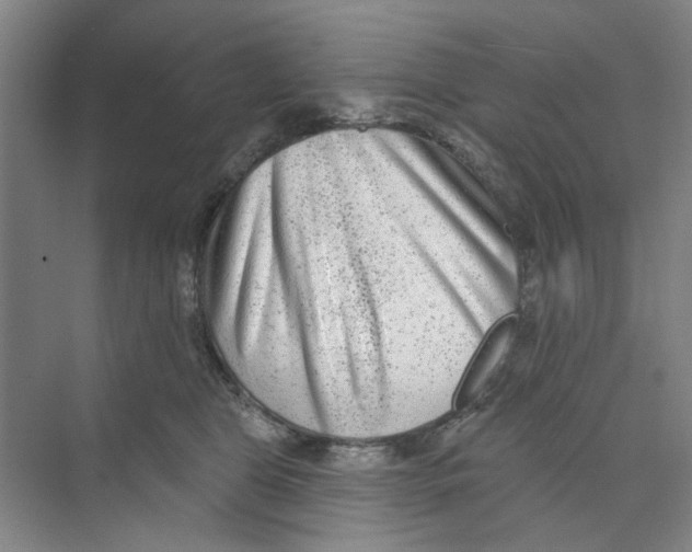 X0000074260469200609222155