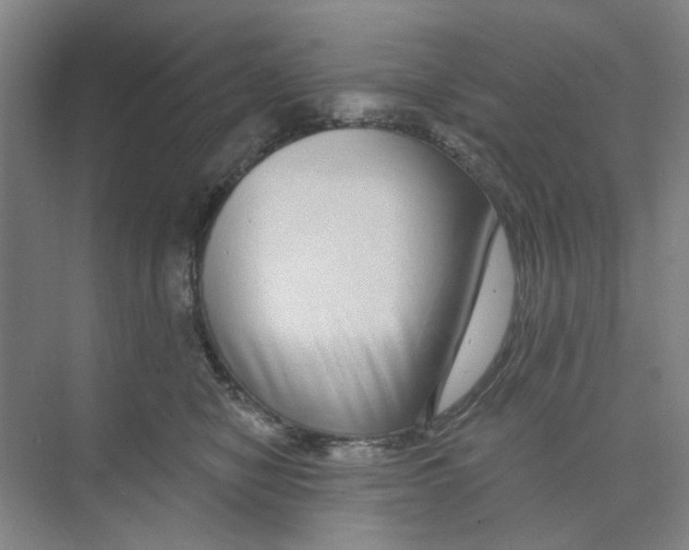 X0000074260470200609222155