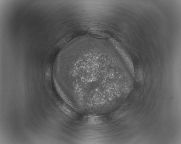 X0000074260472200609222155