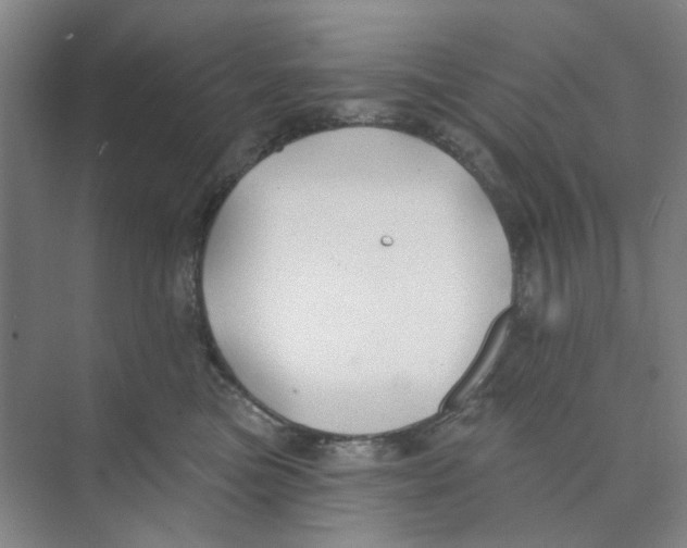 X0000074260473200609222155