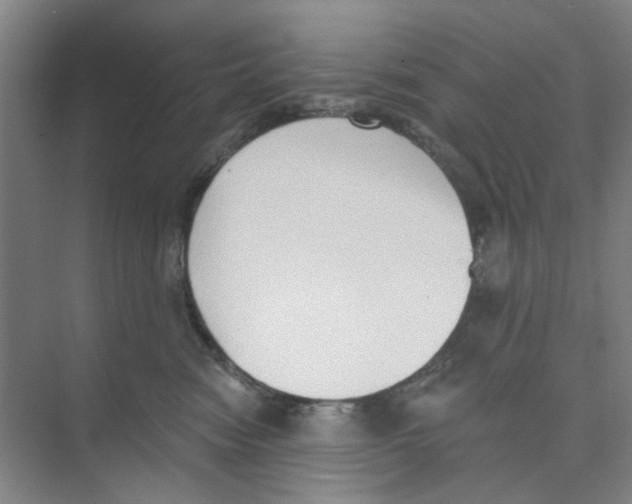 X0000074260474200609222155