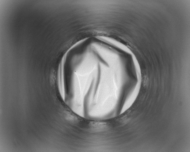 X0000074260476200609222155