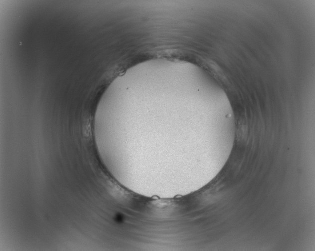 X0000074260477200609222155