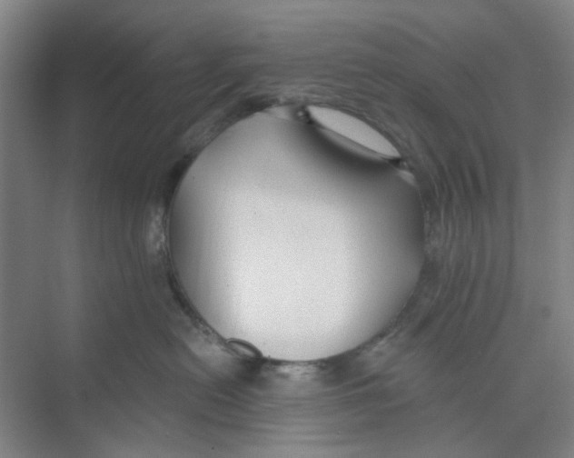 X0000074260478200609222155