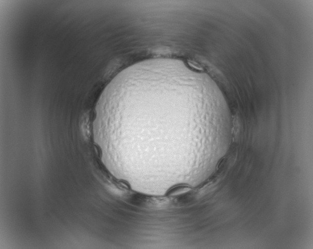 X0000074260479200609222155