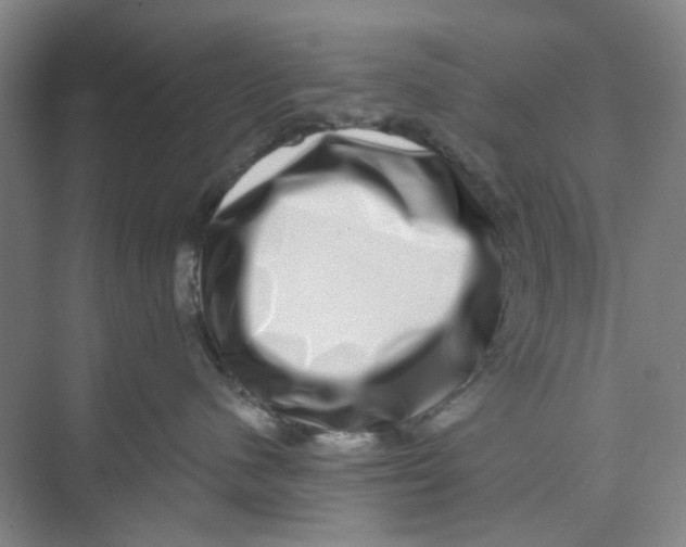 X0000074260480200609222156