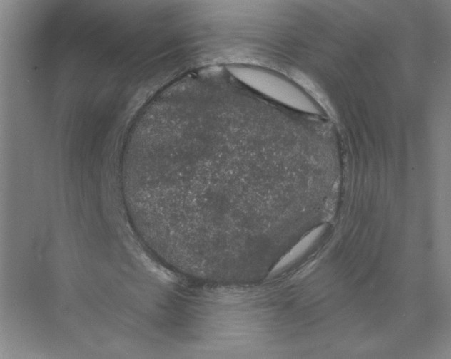 X0000074260481200609222155