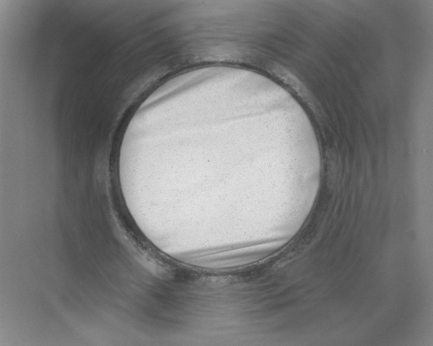 X0000074260482200609222155