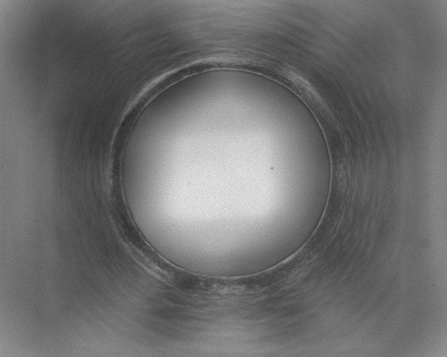 X0000074260484200609222155