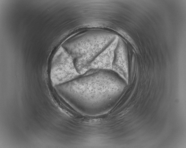 X0000074260485200609222155