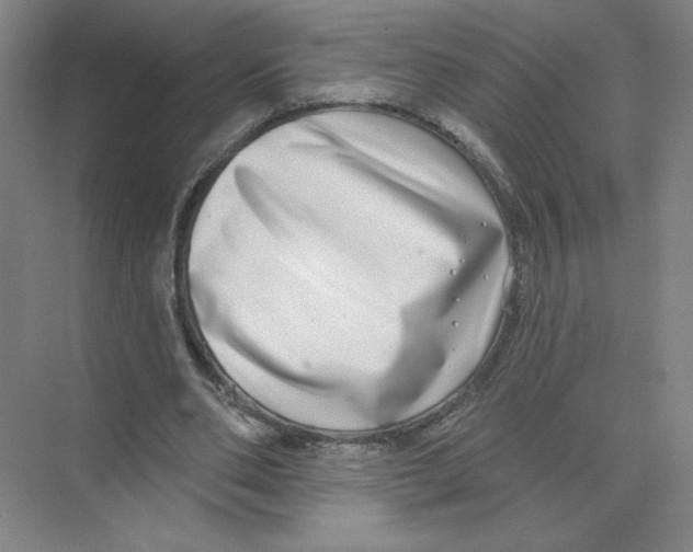 X0000074260486200609222155