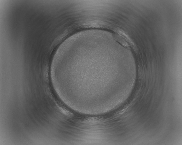 X0000074260489200609222155