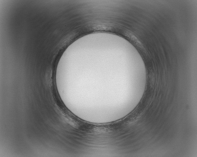 X0000074260490200609222155