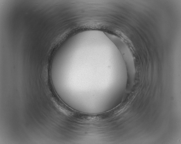 X0000074260493200609222154