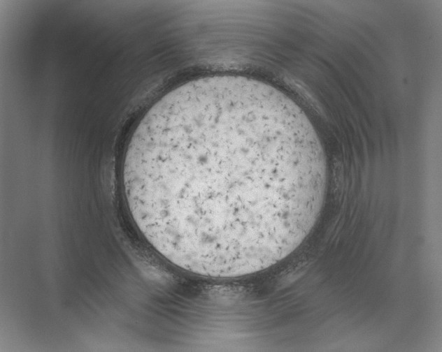 X0000074260494200609222154