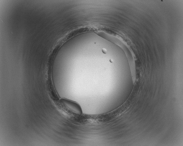 X0000074260496200609222154