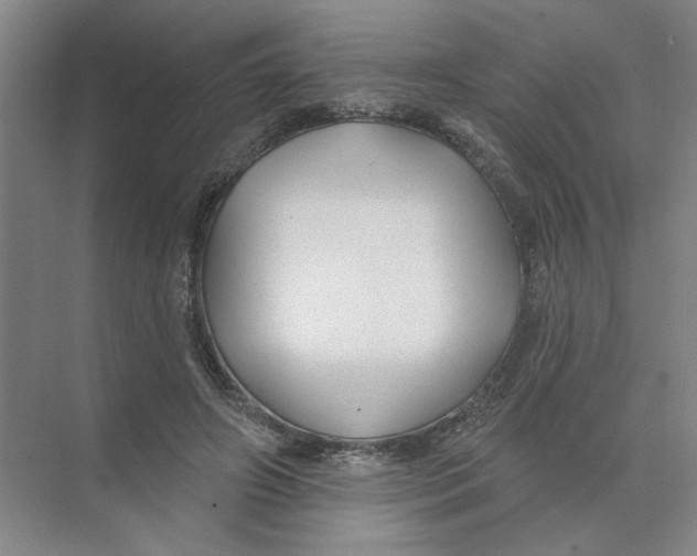 X0000074260498200609222154