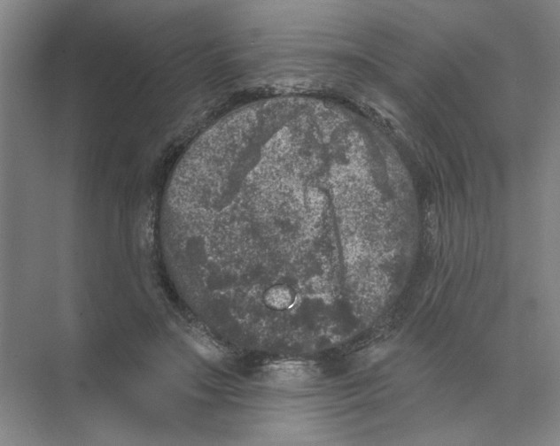 X0000074260499200609222154