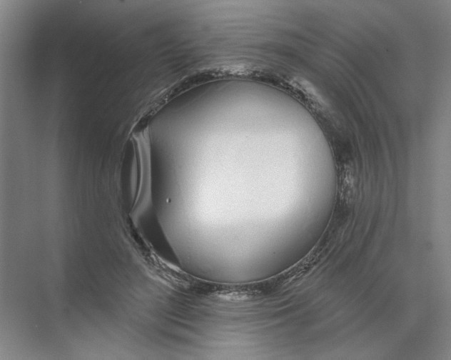 X0000074260500200609222154