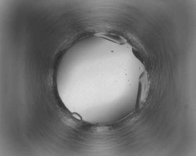 X0000074260501200609222154