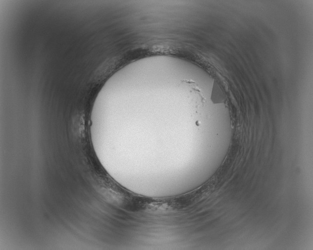 X0000074260502200609222154