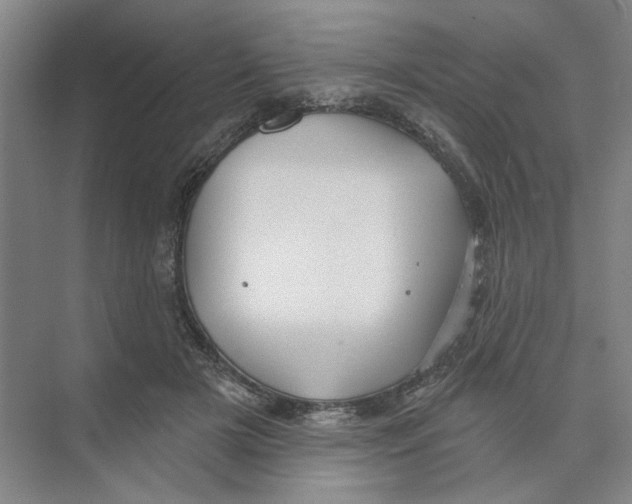 X0000074260505200609222154