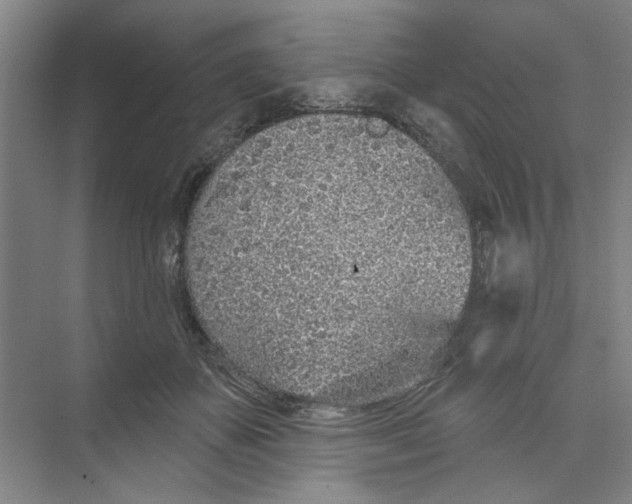 X0000074260507200609222154