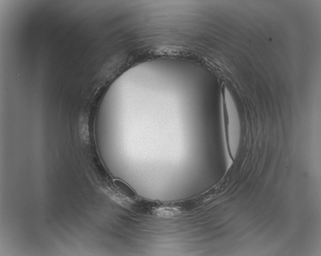 X0000074260508200609222154