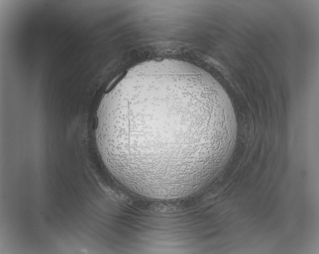 X0000074260512200609222154