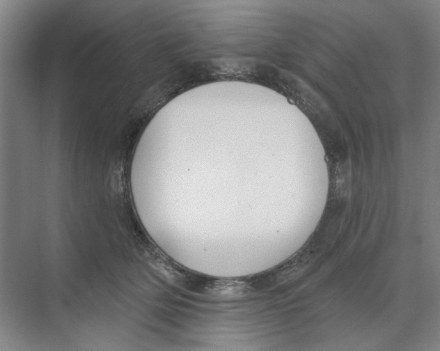 X0000074260514200609222154