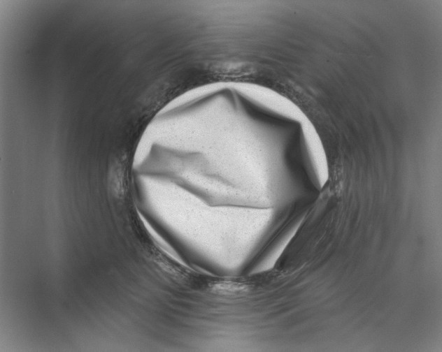 X0000074260515200609222154