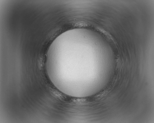 X0000074260517200609222154