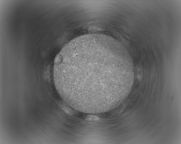 X0000074260519200609222154