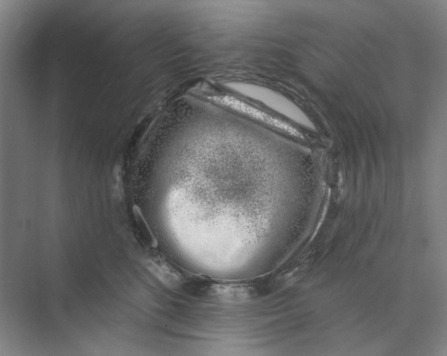 X0000074260520200609222154