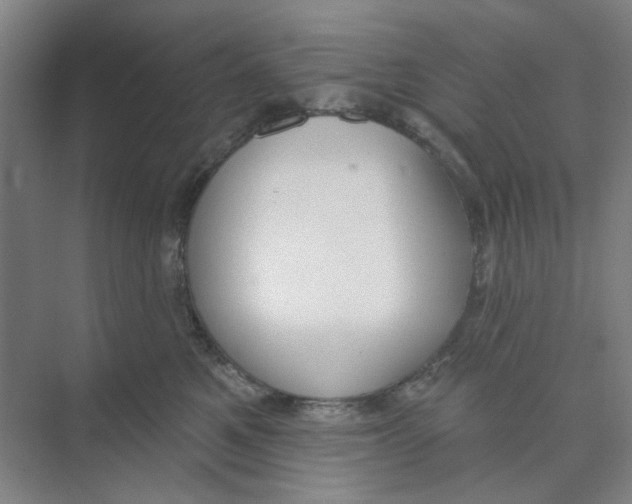 X0000074260521200609222154