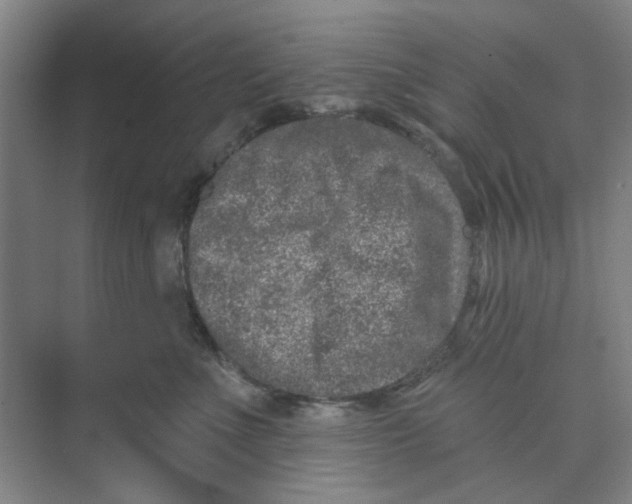 X0000074260523200609222154