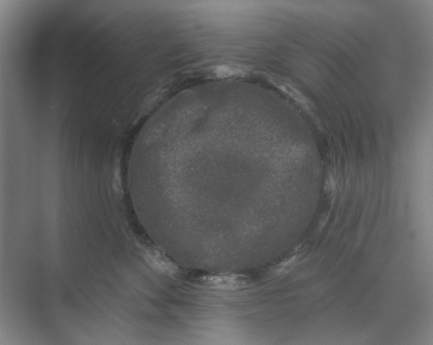 X0000074260524200609222154