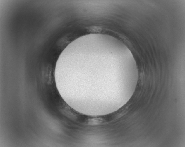 X0000074260525200609222154