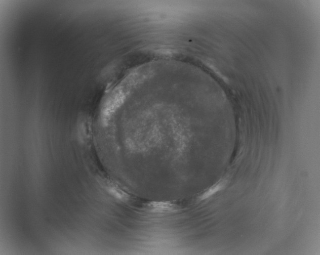 X0000074260528200609222154