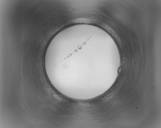 X0000074260529200609222153