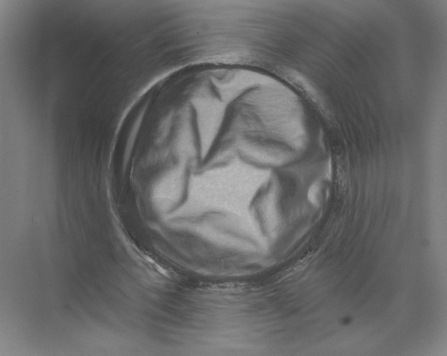 X0000074260532200609222153