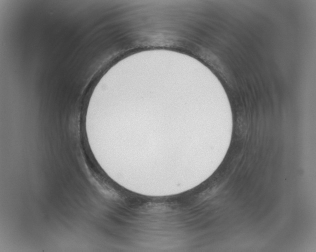 X0000074260534200609222153